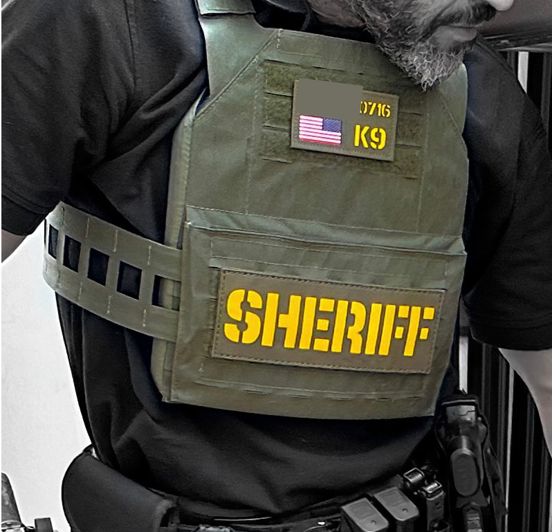 Noontime Plate Carrier